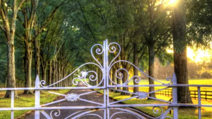 Berry College Scholarships Schools