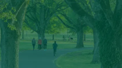 People walking and jogging on a tree-lined park path with lush green grass and sunlight filtering through leaves.