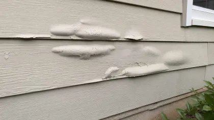 White exterior house siding with multiple areas of bubbling and peeling paint near a window and garden bed.