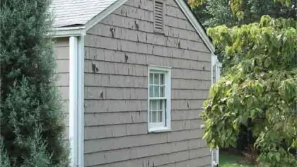 a small house surrounded by trees