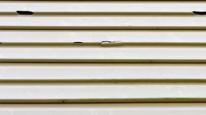 Close-up of beige vinyl siding with peeling paint and visible wear on several panels.