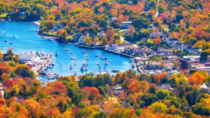 a body of water with boats in it and trees around it