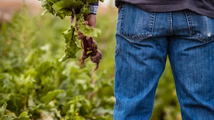a man holding a plant