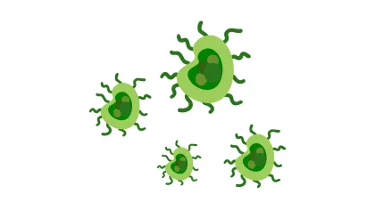 Disease Management Training