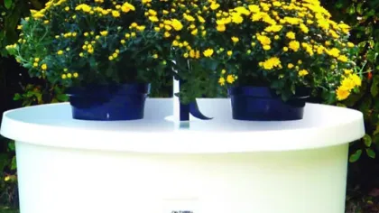 White round compost bin with two yellow flowering plants on top, placed on green grass outdoors.