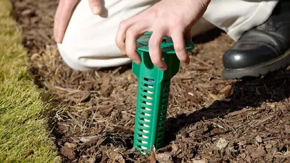 Person installing a green lawn aerator spike into soil near grass edge with protective mulch.