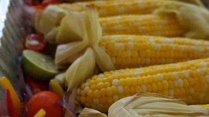 Tray of fresh corn on the cob with husks partially removed, garnished with citrus slices and cherry tomatoes.