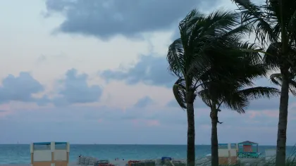 Palm trees sway by the ocean beach with lifeguard towers and cloudy sky at dusk.