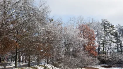 Winter Home Inspection, Home Inspectors in Marion, NC, McDowell County, 28752 Home Inspections, Certified Home Inspectors, Residential and Commercial Home Inspections in Marion, NC, McDowell County, 28752