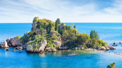 a small island with trees