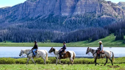 people riding horses on a field