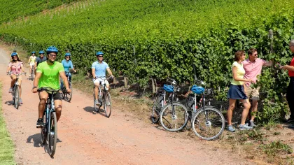 a group of people on bicycles on a dirt path
