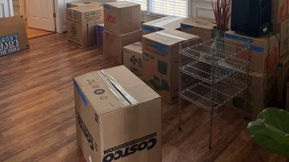 Room with hardwood floor filled with stacked cardboard moving boxes and a metal shelving unit near large window.