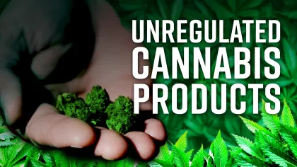 Hand holding cannabis buds with text warning about unregulated cannabis products on green leaf background.