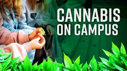 Group of people sitting with cannabis leaves and text Cannabis on Campus overlayed in green background