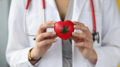 a doctor holding a red heart