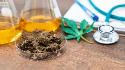 a bowl of dried herbs