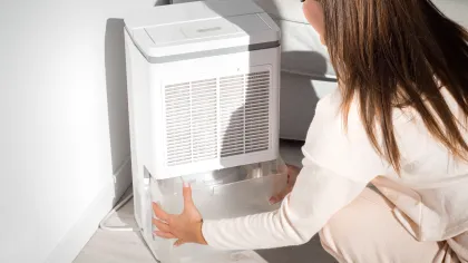 a person looking at a computer