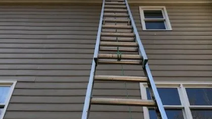 a cat climbing on a ladder