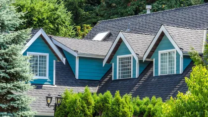 a house with a large roof