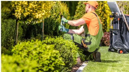 a man in a garden