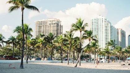 Sunny beach with palm trees and high-rise buildings in the background under a clear sky