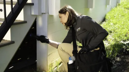 pest control business