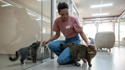 Woman in pink shirt kneeling on floor petting a tabby cat in a modern indoor space with large glass panels.