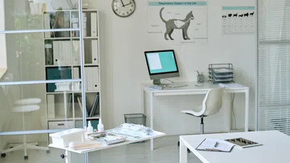 Bright veterinary office with medical tools, computer, cat respiratory system chart, and white furniture.
