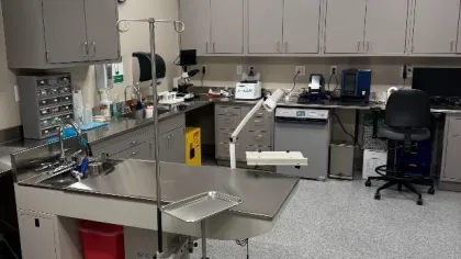 Clean veterinary exam room with stainless steel table, overhead light, cabinets, and medical equipment.