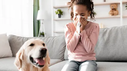 Young girl sitting on couch sneezing into tissue with happy golden retriever dog nearby in bright living room