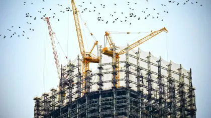 cranes flying over a building