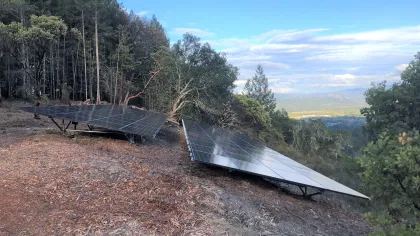 a large tarp on a dirt road surrounded by trees
