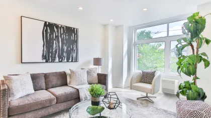 electric home heating and AC heat pump in a novato home