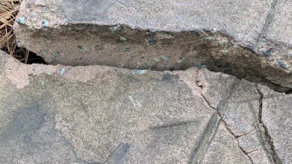 Cracked and broken concrete sidewalk slabs showing weathering and separation with surrounding dry grass.