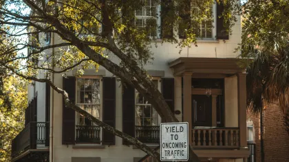 Historic house with dark shutters behind large tree and traffic sign reading yield to oncoming traffic.