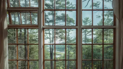 View of tall pine trees and a lake through large multi-pane wooden windows with curtains.