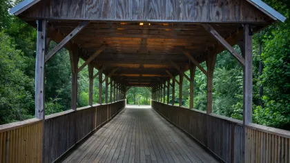 a wooden bridge with a wooden walkway