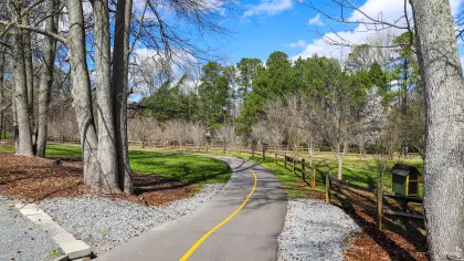 a road with trees on the side