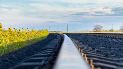 train tracks with yellow flowers