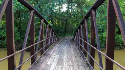 a wooden bridge over a river