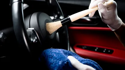a person holding a steering wheel
