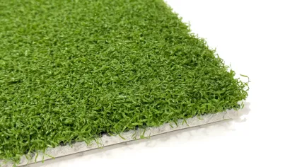 a close-up of a green plant
