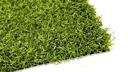 a close up of a green plant
