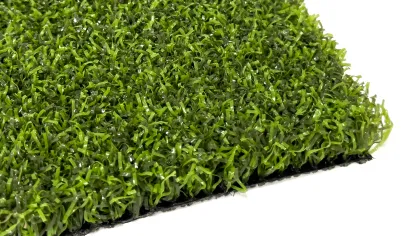 a close up of a plant