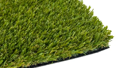 a close-up of a green plant