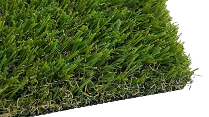 a close up of a green leaf
