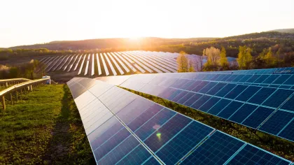 Solar panels in a large field at sunset with hills and trees in the background for renewable energy.
