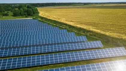 Rows of solar panels installed on green field adjacent to golden agricultural crops under clear sky.