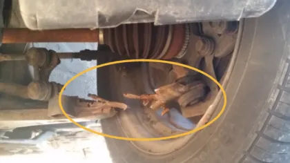 a group of bees on a yellow circle